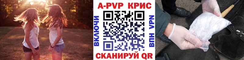 A-PVP СК КРИС  Петропавловск-Камчатский 