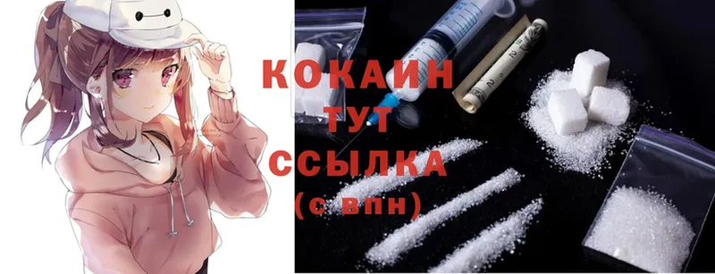 продажа наркотиков  Петропавловск-Камчатский  даркнет наркотические препараты  Cocaine FishScale 