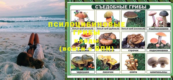 герыч Новозыбков