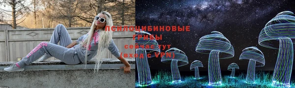 герыч Новозыбков