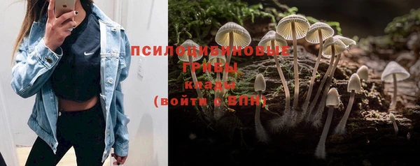 круглые Новодвинск