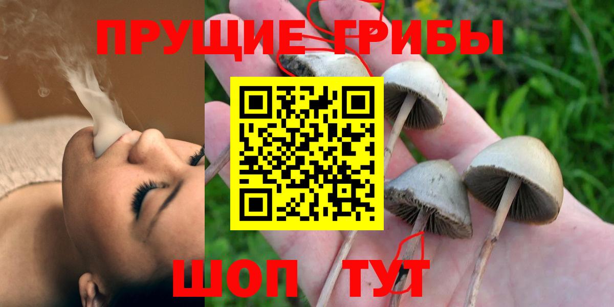 Петропавловск-Камчатский  Псилоцибиновые грибы ЛСД  Вход с VPN 