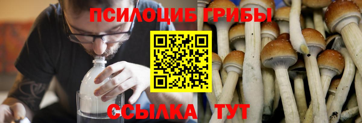 Псилоцибиновые грибы Magic Shrooms Петропавловск-Камчатский