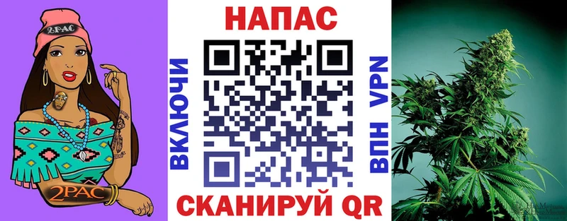 Канабис конопля  это клад  Петропавловск-Камчатский  блэк спрут маркетплейс 
